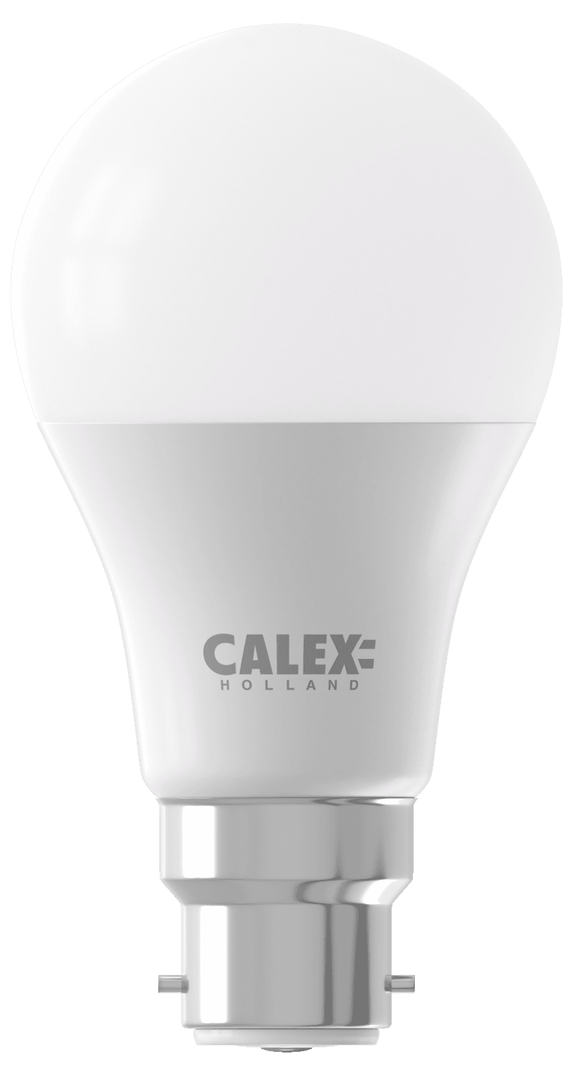 B22 LED Bulbs